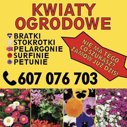 okolicznosciowe